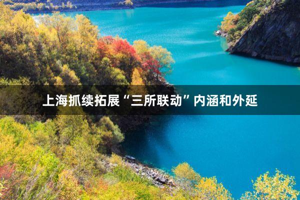上海抓续拓展“三所联动”内涵和外延