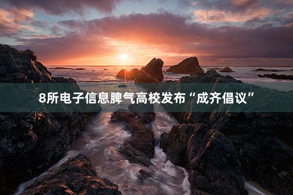 8所电子信息脾气高校发布“成齐倡议”