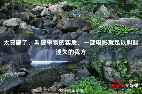 太真确了，看破事物的实质，一部电影就足以叫醒迷失的我方