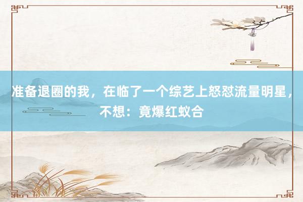 准备退圈的我，在临了一个综艺上怒怼流量明星，不想：竟爆红蚁合