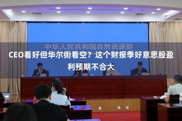 CEO看好但华尔街看空？这个财报季好意思股盈利预期不合大