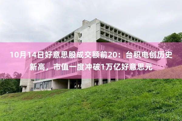 10月14日好意思股成交额前20：台积电创历史新高，市值一度冲破1万亿好意思元