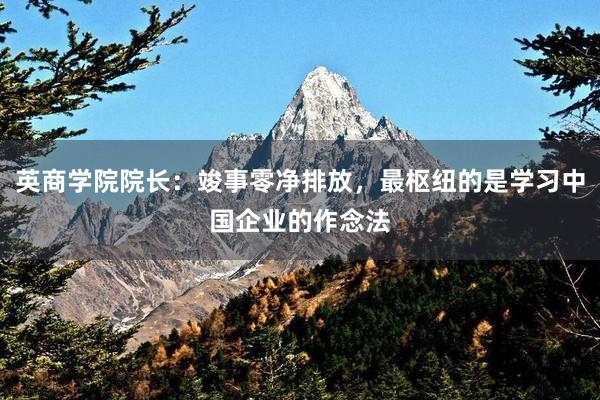 英商学院院长：竣事零净排放，最枢纽的是学习中国企业的作念法