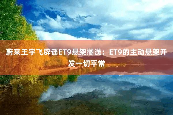 蔚来王宇飞辟谣ET9悬架搁浅：ET9的主动悬架开发一切平常