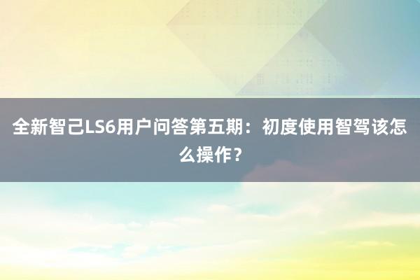 全新智己LS6用户问答第五期：初度使用智驾该怎么操作？
