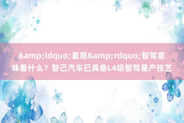 &ldquo;直观&rdquo;智驾意味着什么？智己汽车已具备L4级智驾量产技艺