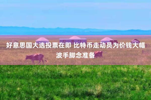 好意思国大选投票在即 比特币走动员为价钱大幅波手脚念准备