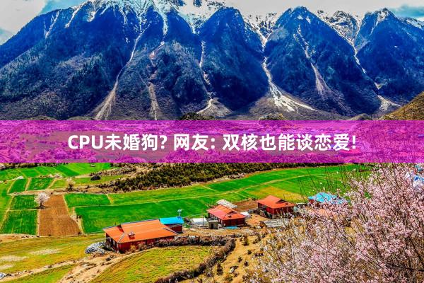 CPU未婚狗? 网友: 双核也能谈恋爱!