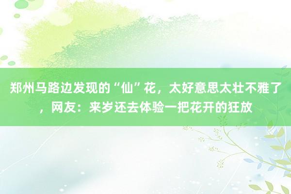 郑州马路边发现的“仙”花，太好意思太壮不雅了，网友：来岁还去体验一把花开的狂放