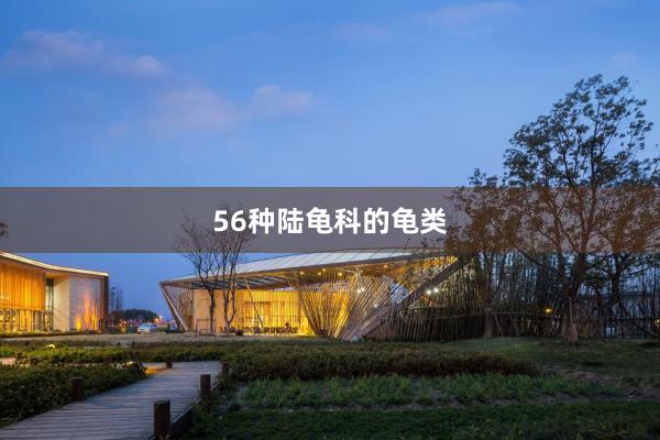 56种陆龟科的龟类