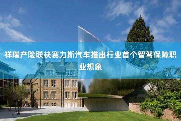 祥瑞产险联袂赛力斯汽车推出行业首个智驾保障职业想象