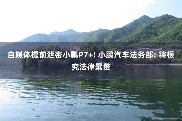 自媒体提前泄密小鹏P7+! 小鹏汽车法务部: 将根究法律累赘