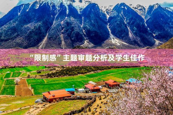 “限制感”主题审题分析及学生佳作