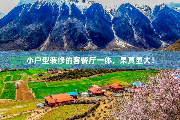 小户型装修的客餐厅一体，果真显大！