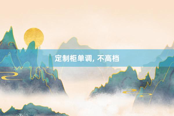 定制柜单调, 不高档