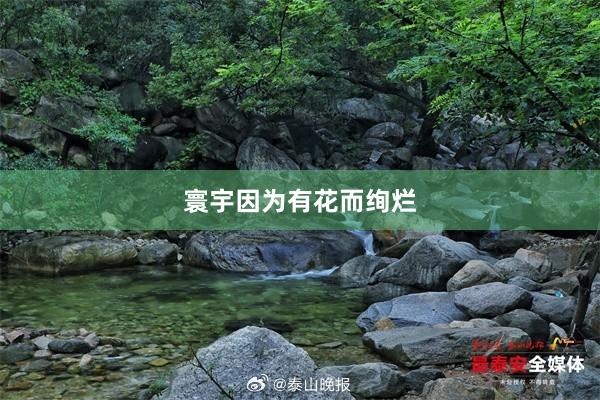 寰宇因为有花而绚烂