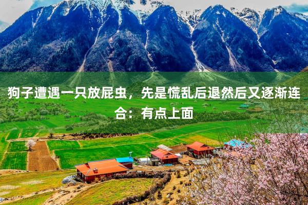 狗子遭遇一只放屁虫，先是慌乱后退然后又逐渐连合：有点上面