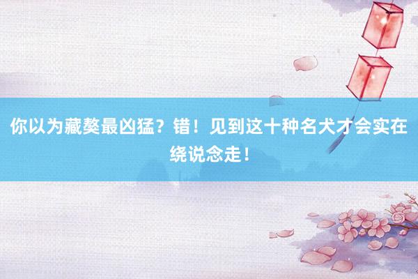 你以为藏獒最凶猛？错！见到这十种名犬才会实在绕说念走！