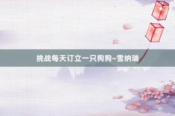 挑战每天订立一只狗狗~雪纳瑞