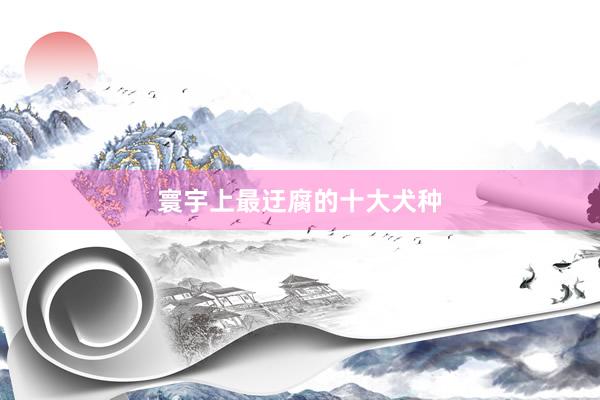 寰宇上最迂腐的十大犬种